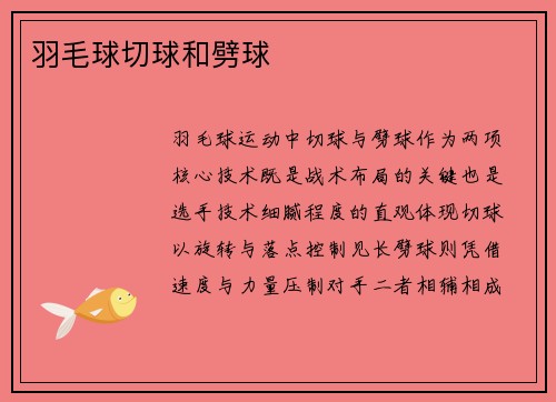 羽毛球切球和劈球